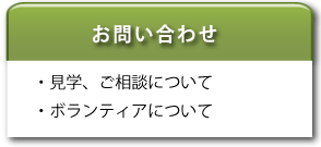 お問い合わせ・見学、ご相談について・ボランティアについて